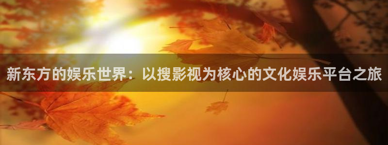 69视频页码