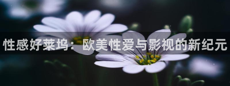 69视频在线播放观看